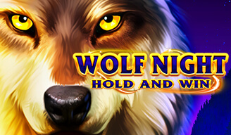 wolf night